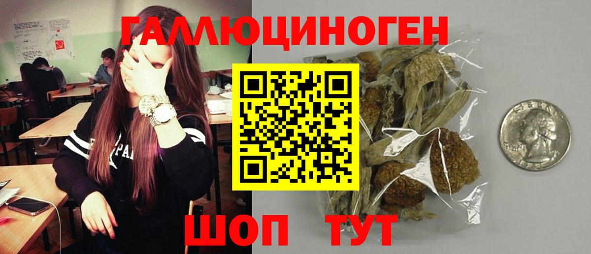 Скопин  Галлюциногенные грибы мицелий  Вход с VPN 