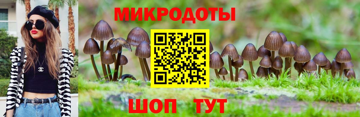 Галлюциногенные грибы мицелий Скопин